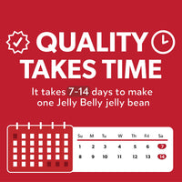 Jelly Belly Holiday Favorites Jelly Bean 4.25 oz Gift Box - Genuine, Official, Straight from the Source